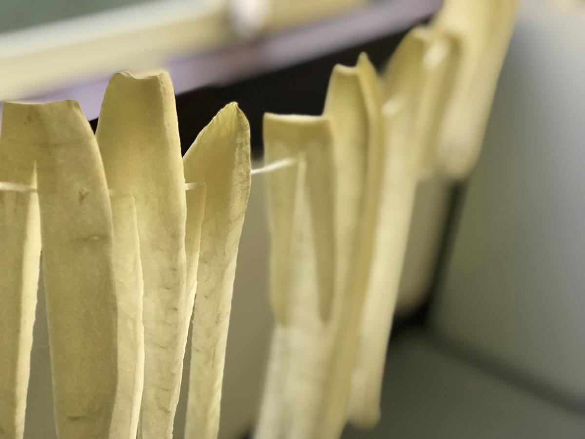 Lamp Bungoono Ξενοδοχείο Όιτα Εξωτερικό φωτογραφία